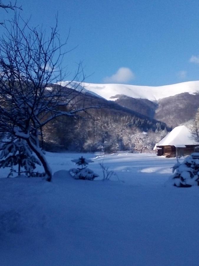 Cottage Лісовий Буковець Екстер'єр фото