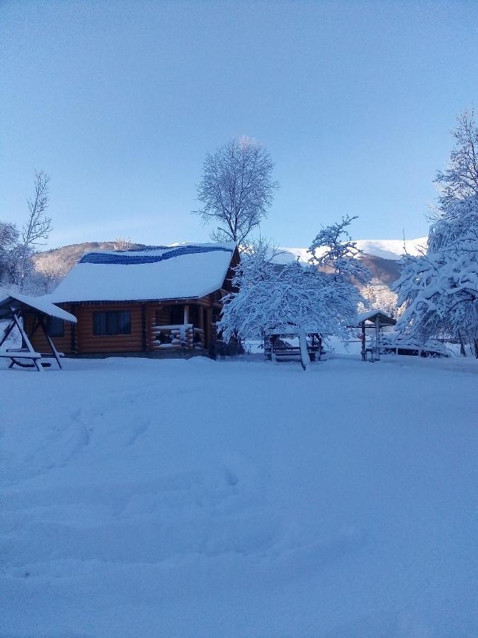 Cottage Лісовий Буковець Екстер'єр фото