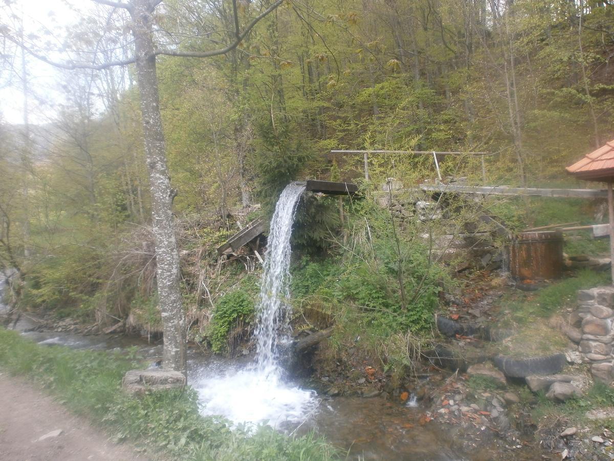 Cottage Лісовий Буковець Екстер'єр фото