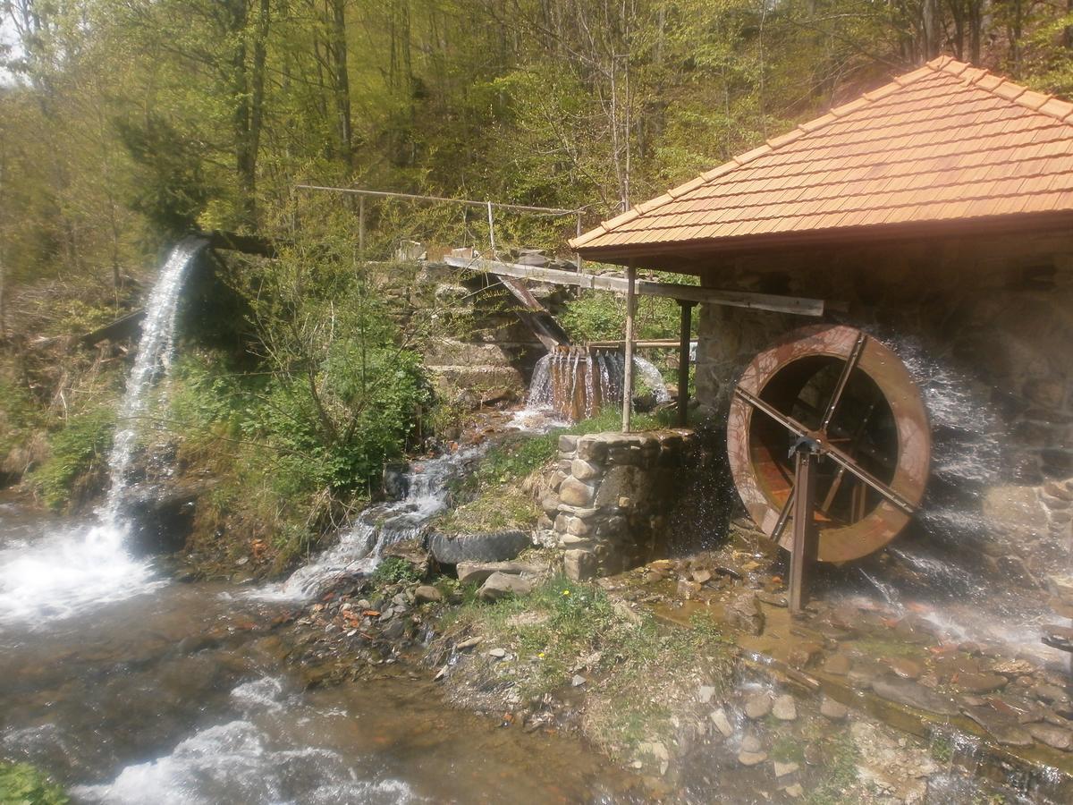 Cottage Лісовий Буковець Екстер'єр фото