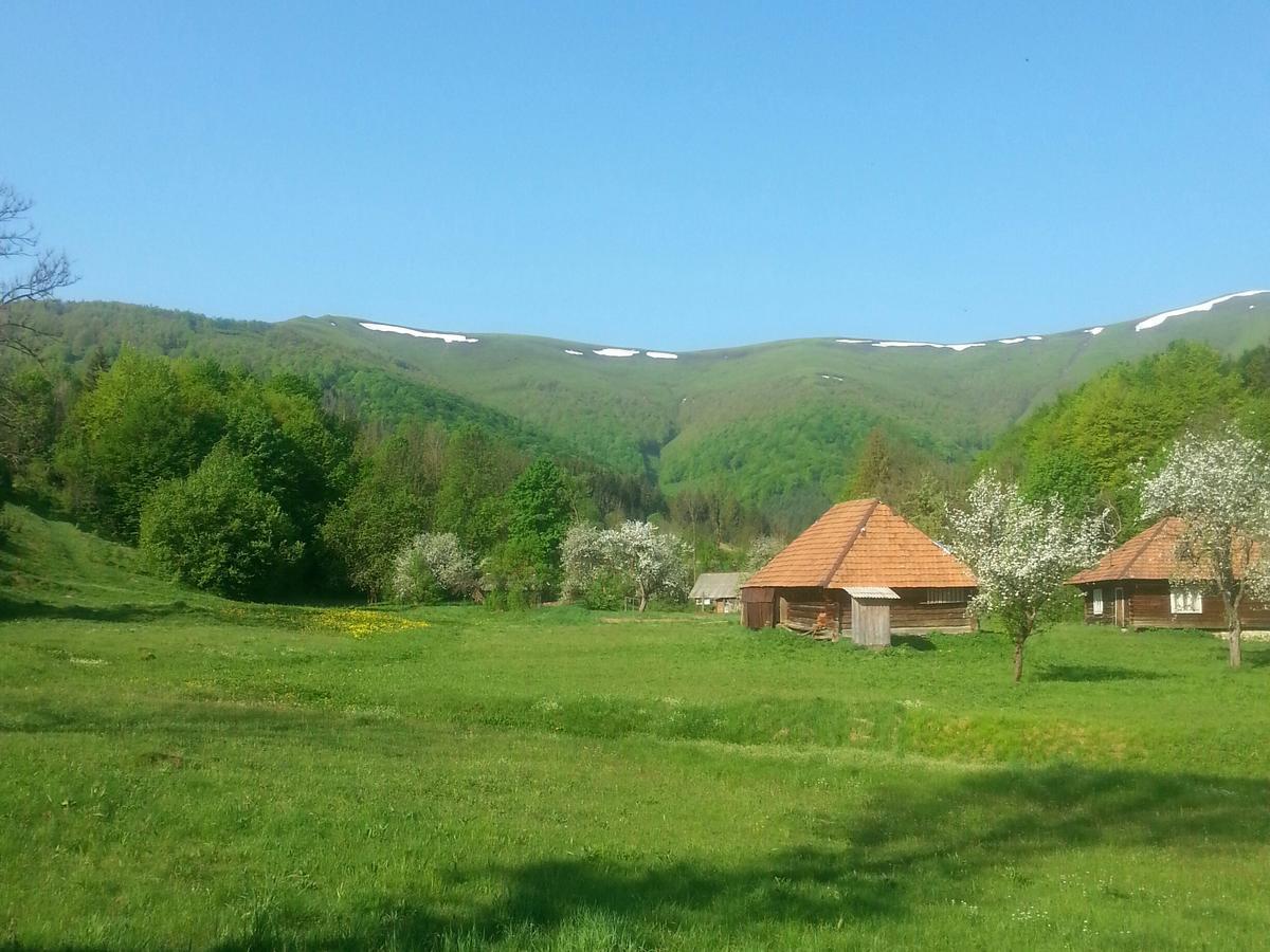 Cottage Лісовий Буковець Екстер'єр фото